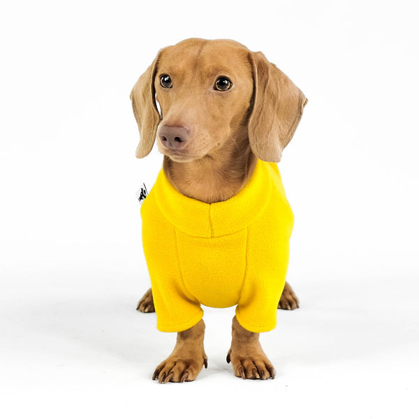 Dackel Fleece Pullover Sunflower Yellow