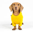 Load image into Gallery viewer, Dackel Pullover Sunflower Yellow
