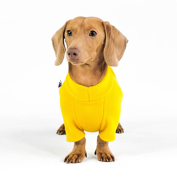 Fleece Pullover for dachshund