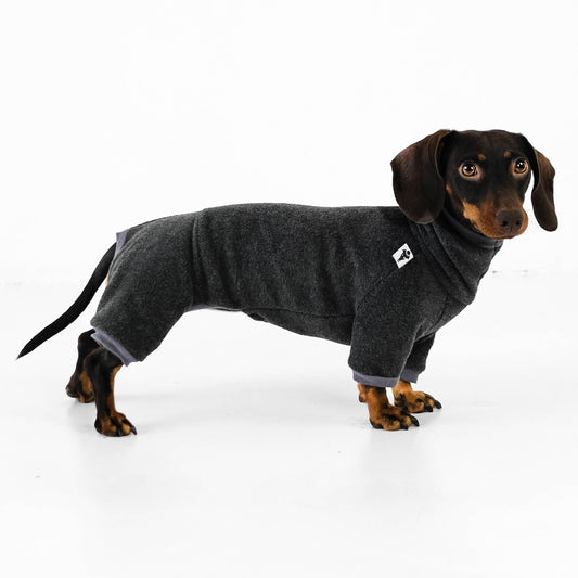 Dachshund Overall