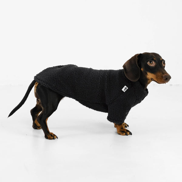 Dackel Teddy Pullover Schwarz