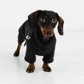 Load image into Gallery viewer, Dackel Sherpa Pullover Schwarz
