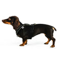 Load image into Gallery viewer, Dackel Softshell Geschirr Dark Olive
