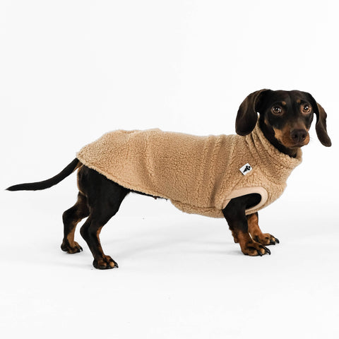 Dackel Teddy Shirt 2.0 in Beige