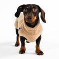 Load image into Gallery viewer, Dackel Teddy Shirt 2.0 in Camel
