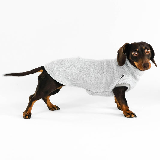 Dackel Teddy Long Shirt 2.0 Light Gray