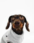 Load image into Gallery viewer, Dackel Teddy Shirt 2.0 in Light Gray
