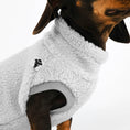 Load image into Gallery viewer, Dackel Teddy Long Shirt 2.0 in Light Gray
