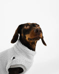 Load image into Gallery viewer, Dackel Teddy Shirt 2.0 in Light Gray
