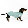 Load image into Gallery viewer, Dackel Teddy Shirt in Mint
