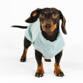 Load image into Gallery viewer, Hundepullover für Dackel
