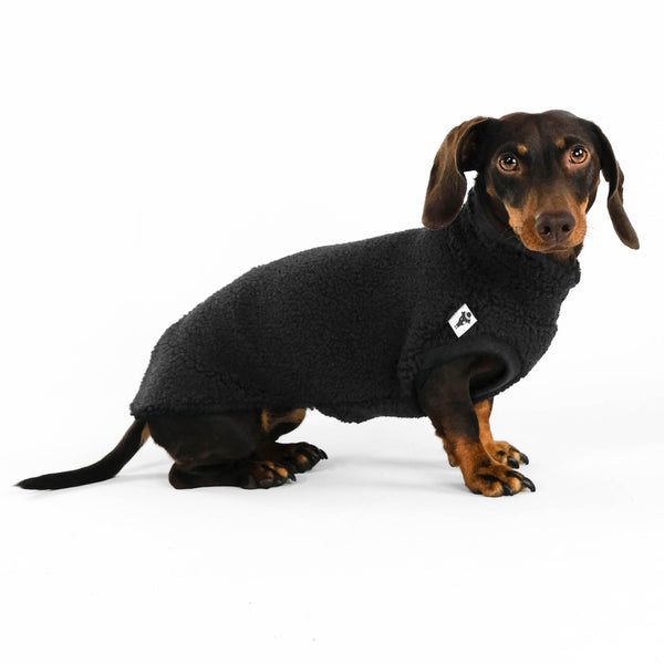 Dackel Teddy Shirt 2.0 in Schwarz
