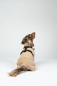 Load image into Gallery viewer, Zwergdackel trägt das Karma Hund Geschirr über einen Karma Hund Dackel Overall.
