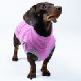 Load image into Gallery viewer, Dackel präsentiert Long Shirt in Bubblegum vor weißem Hintergrund – funktional und stilvoll
