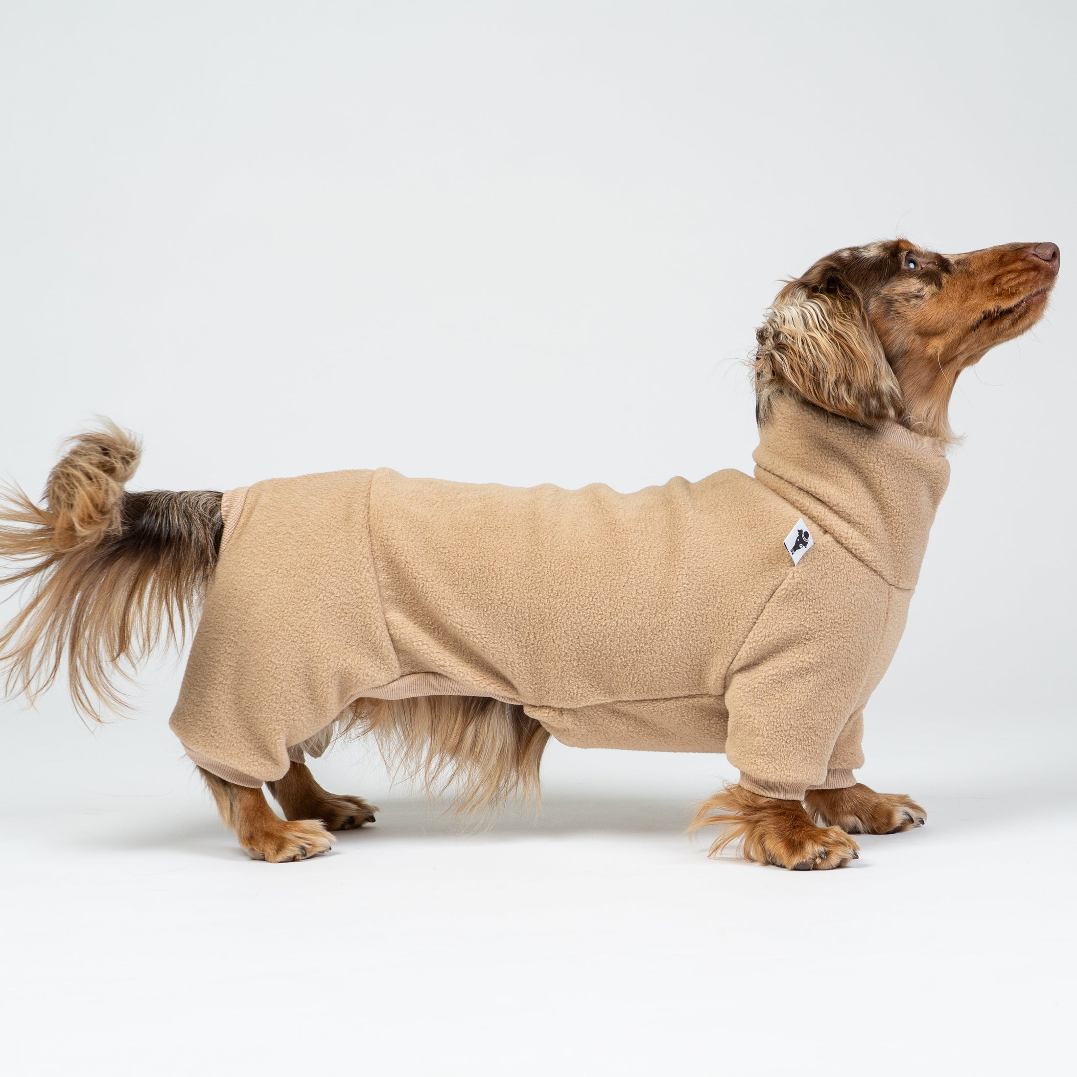 Dackel trägt camel-farbenen Fleece-Overall – warmer, leichter Hundeeinteiler.