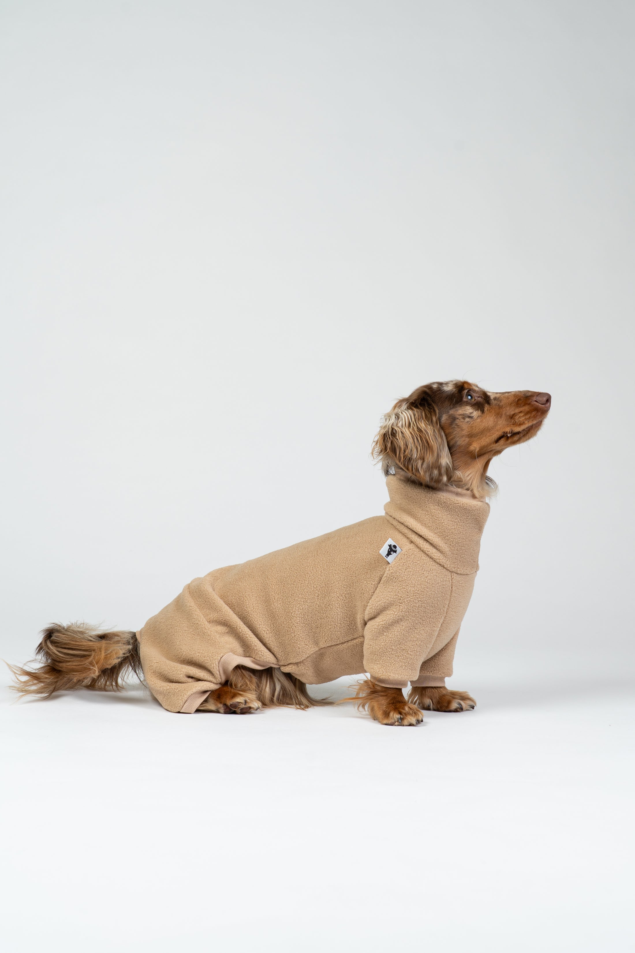 Fröhlicher Zwergdackel im camel-farbenen Fleeceoverall – wärmender Einteiler für Spaziergänge.
