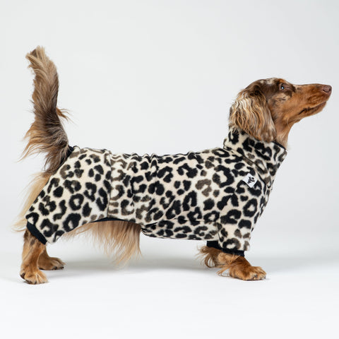 Fröhlicher Zwergdackel im Leoparden-Overall – stilvoller Hundeschutz für kalte Tage.