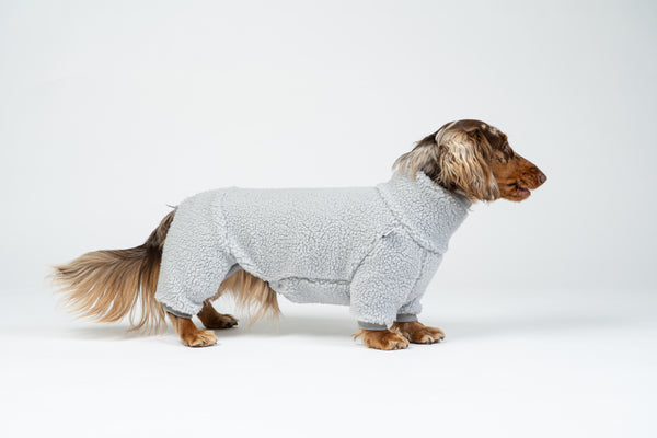 Zwergdackel im hellgrauen Teddy-Fleece-Overall – weicher Schutz für kalte Tage.