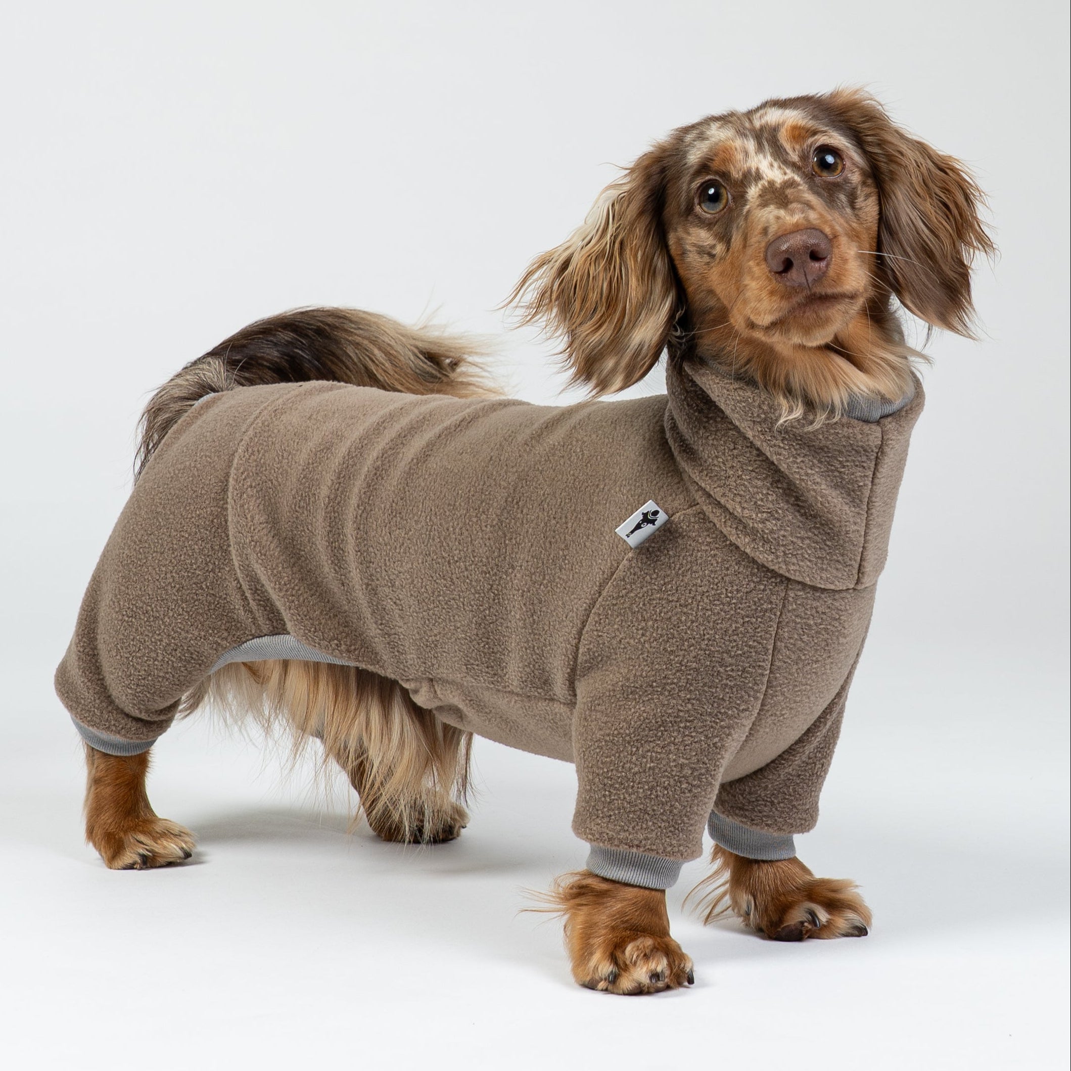 Dackel trägt walnutfarbenen Fleece-Overall – warmer, leichter Hundeeinteiler im Winter.