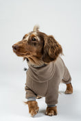 Load image into Gallery viewer, Dackel läuft im walnutfarbenen Fleeceoverall – flexibler, weicher Schutz vor Kälte.
