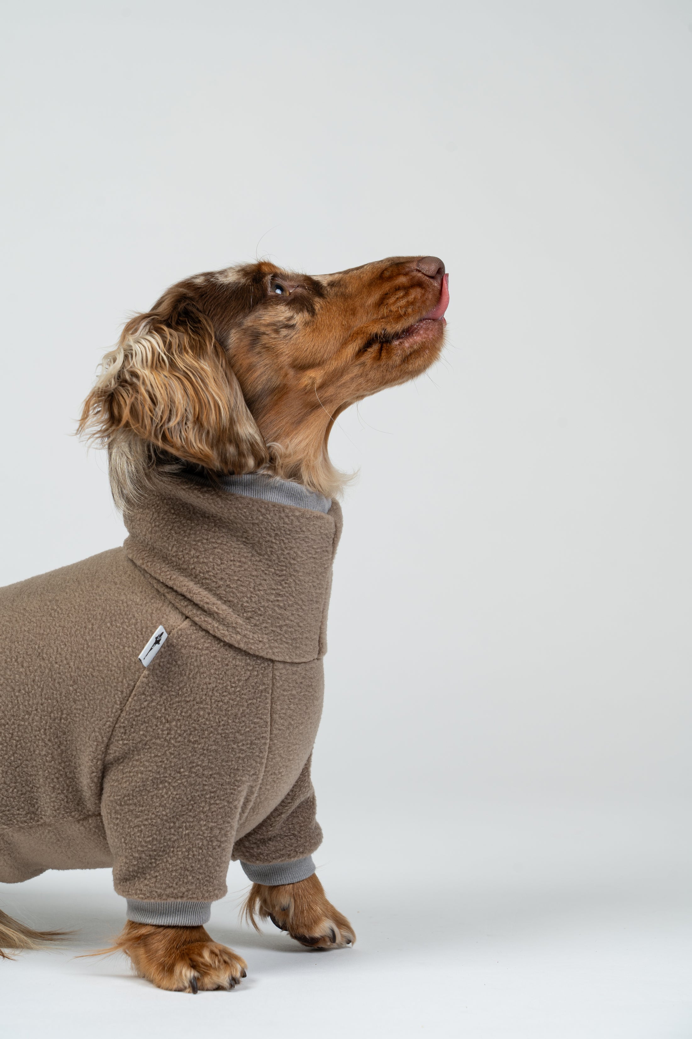 Langhaar-Dackel zeigt walnutfarbenen Fleeceoverall – warmer, leichter Winteroverall.