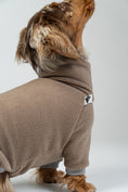 Load image into Gallery viewer, Zwergdackel im Walnut-Fleeceoverall – stilvoller, kuscheliger Hundeoverall im Studio.
