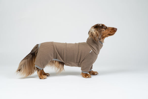 Langhaar-Zwergdackel im Studiofoto mit Walnut-Fleeceoverall – stilvolle Hundebekleidung.