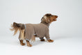 Load image into Gallery viewer, Dackel trägt warmen Fleeceoverall in Walnut – ideal für Herbst und Winter.
