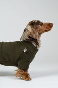 Load image into Gallery viewer, Dackelmodel im dunkeloliven Fleece-Pullover – anschmiegsamer Pullover für langen Rücken.
