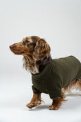 Load image into Gallery viewer, Langhaar-Dackel im Studiofoto mit Dark-Olive-Fleece-Pullover – stilvoller, funktionaler Hundepullover.
