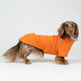 Load image into Gallery viewer, Dackel trägt orangefarbenen Fleece-Pullover – warmer Hundepullover im Studio.
