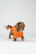 Load image into Gallery viewer, Zwergdackel posiert im orangefarbenen Fleecepullover – weiche, gemütliche Passform.
