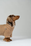 Load image into Gallery viewer, Langhaar-Dackel posiert im Teddy-Fleece-Pullover in Camel – komfortable, anschmiegsame Passform.
