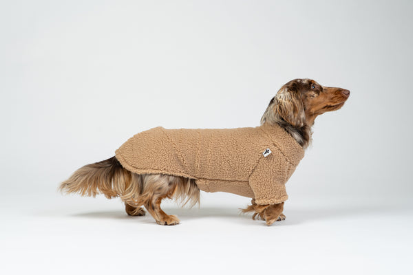 Fröhlicher Zwergdackel im weichen Teddy-Fleece in Camel – stylischer und wärmender Hundepullover.