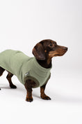 Load image into Gallery viewer, Kuscheliges Sweat Shirt in Matcha am Dackel – ideal für kühle Tage
