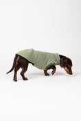 Load image into Gallery viewer, Seitenansicht: Dackel im matchafarbenen Sweat Shirt – bequem und bewegungsfreundlich
