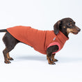 Load image into Gallery viewer, Dackel trägt Sweat Shirt aus Baumwollfleece in Terracotta – warm, weich und stilvoll
