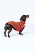 Load image into Gallery viewer, Terracottafarbener Dackelpullover – Sweat Shirt aus Baumwollfleece, ideal für kühle Tage
