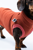 Load image into Gallery viewer, Nahaufnahme: Kragen, Naht und Material des Terracotta-Sweat Shirts für Dackel im Fokus

