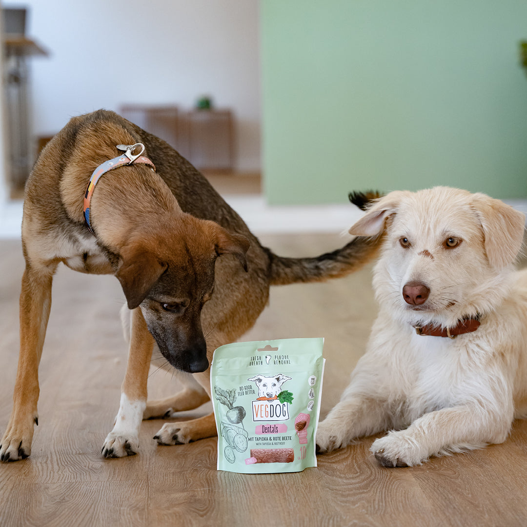 VEGDOG Dentals