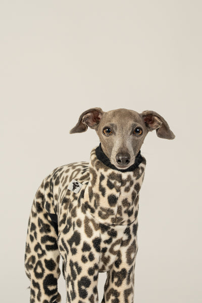 Fleece-Hundebekleidung für Windspiele: stylischer Leo-Overall mit perfekter Passform