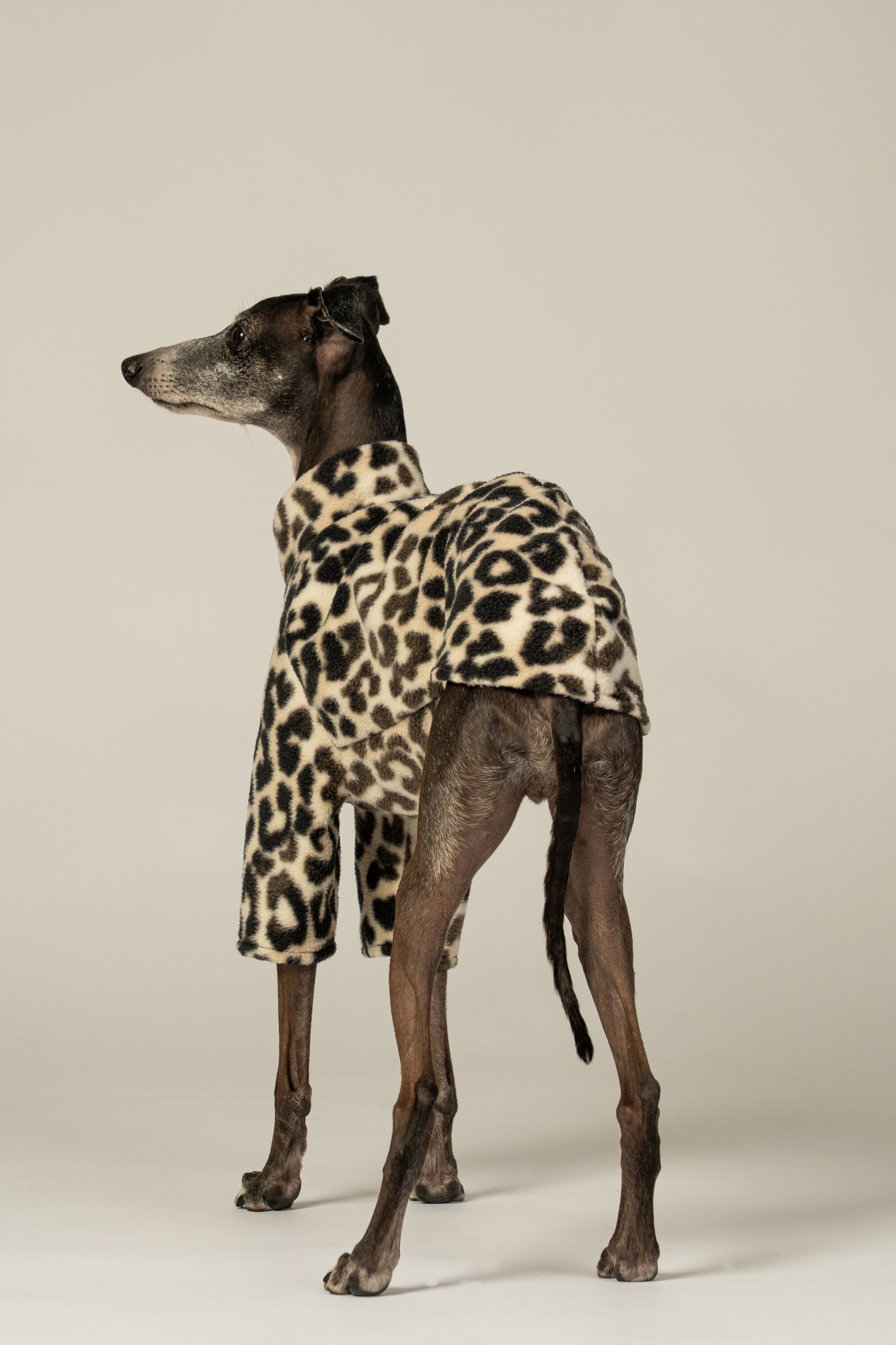 Fleece-Hundepullover für Windspiele: stylisches Leo-Design mit optimaler Passform