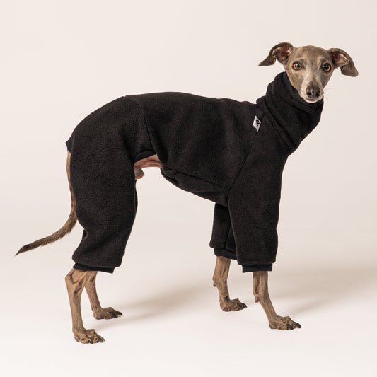 Italienisches Windspiel trägt handgefertigten Overall aus Fleece