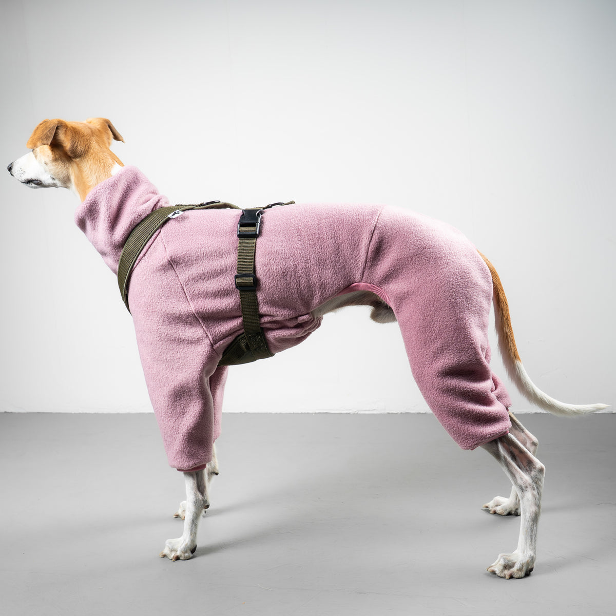 OVERALL Windhund Altrosa