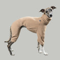 Load image into Gallery viewer, OVERALL Windhund Sand Beige
