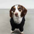 Load image into Gallery viewer, PULLOVER for dachshunds in black
