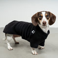 Load image into Gallery viewer, PULLOVER for dachshunds in black
