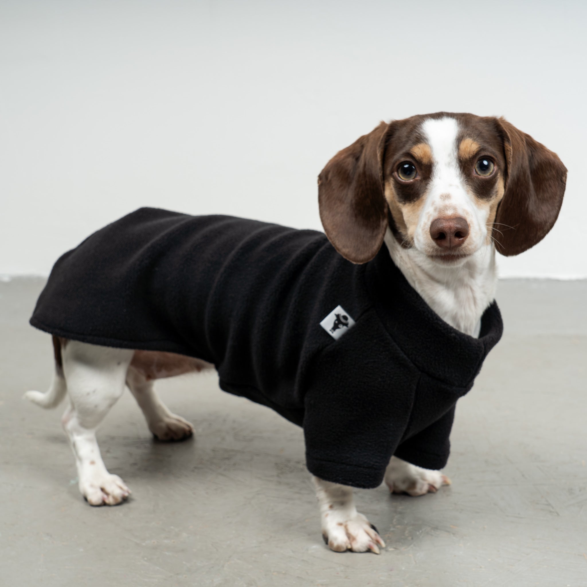PULLOVER for dachshunds in black