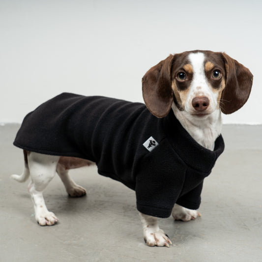 PULLOVER for dachshunds in black