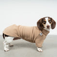 Load image into Gallery viewer, PULLOVER Dackel Camel
